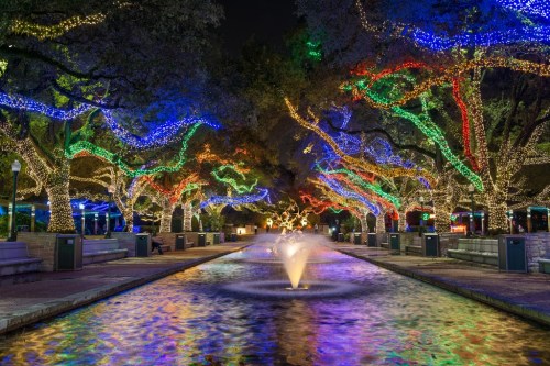 A beautifully lit pathway lined with colorful trees and a fountain, creating a festive nighttime atmosphere.