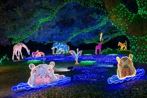 Colorful illuminated animal sculptures in a nighttime garden, featuring a hippo, giraffe, flamingo, and more.