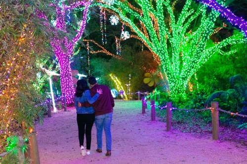 A couple walks hand in hand through a path illuminated by colorful holiday lights in a festive outdoor setting.
