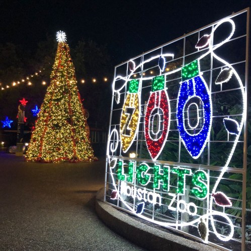 A brightly lit Christmas tree next to a sign that reads "Zoo Lights" at the Holston Zoo, decorated for the holidays.