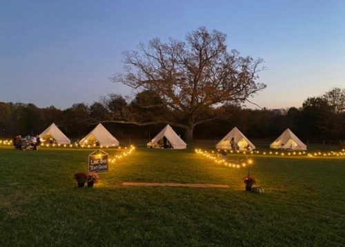 A serene outdoor scene with tents lit by string lights, set against a twilight sky and a large tree in the background.