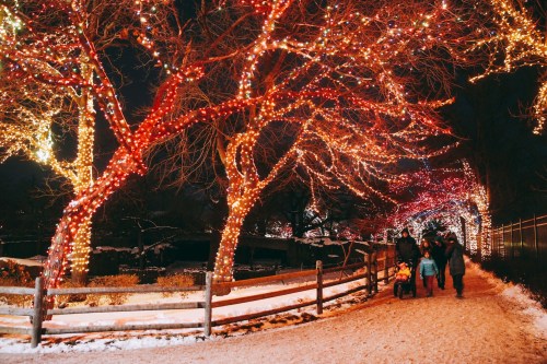 A snowy path lined with vibrant red and white holiday lights, with people walking together in the evening.