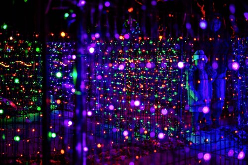 A colorful display of purple, green, and orange lights illuminating a festive outdoor scene.