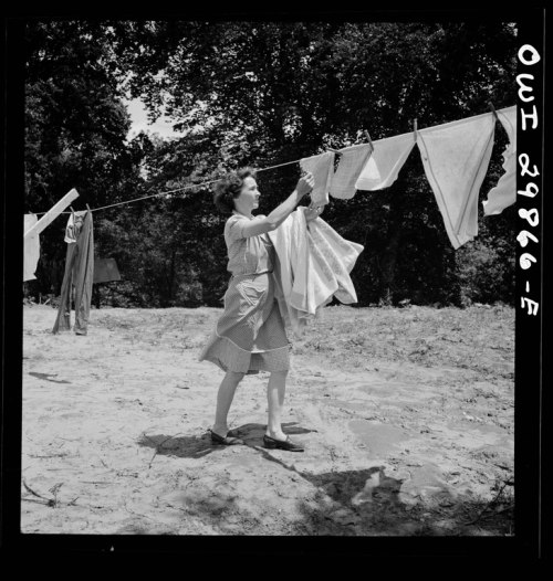 A woman hangs laundry on a clothesline in a sunny outdoor setting, surrounded by trees.