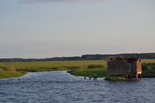 A serene landscape featuring a river winding through green fields, with a small thatched hut on the bank.