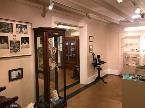 Interior of a museum featuring displays of a skeleton, photographs, and various artifacts in glass cases.