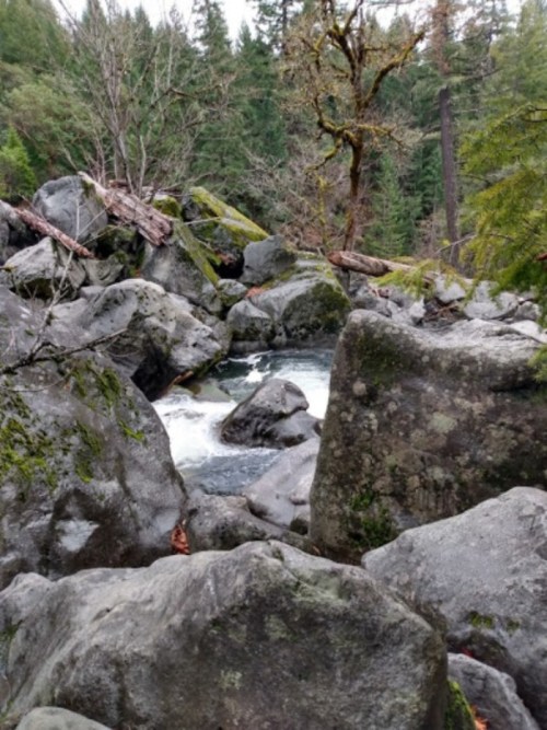 A rocky river scene surrounded by lush greenery and trees, with water flowing between the boulders.