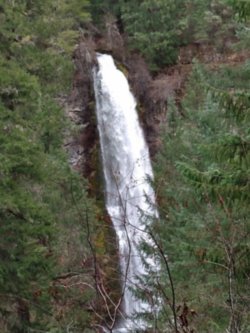 A tall waterfall cascades down rocky cliffs, surrounded by lush green trees and foliage.