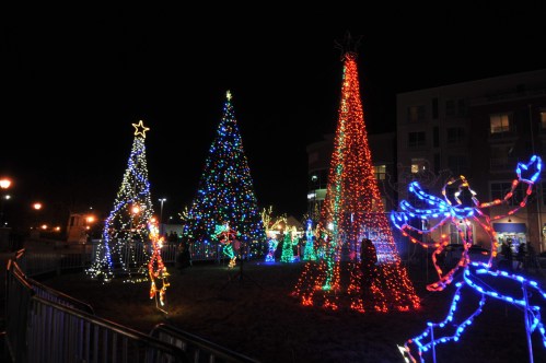 Colorful Christmas trees and festive light displays illuminate a park at night, creating a cheerful holiday atmosphere.