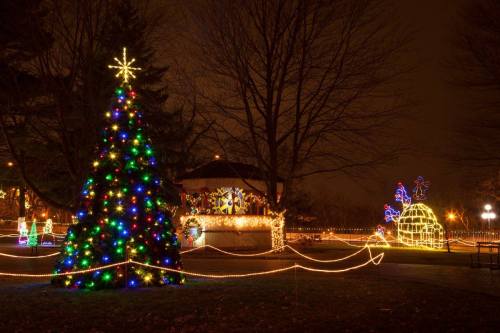 A brightly lit Christmas tree and festive decorations illuminate a park at night, with a gazebo in the background.