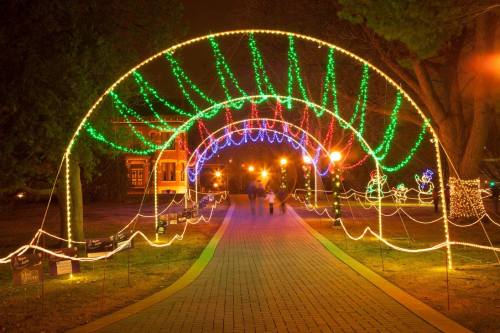 A beautifully lit pathway with colorful lights arching overhead, creating a festive atmosphere at night.