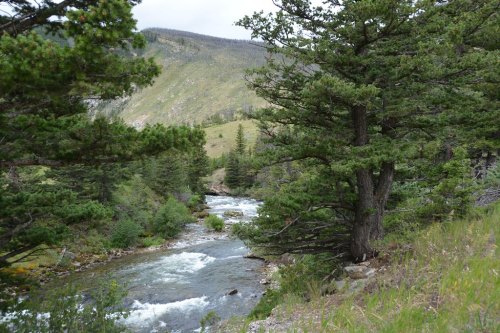 A serene river flows through a lush green landscape, surrounded by trees and mountains under a cloudy sky.