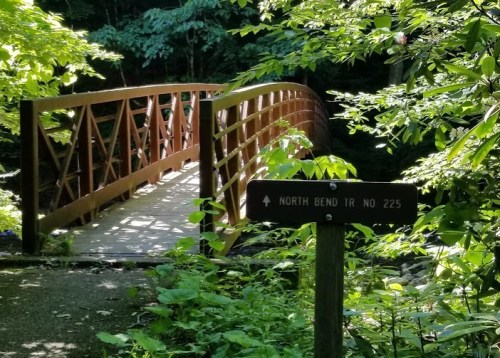 A wooden bridge surrounded by lush greenery, with a sign pointing towards North Bend Trail No. 225.