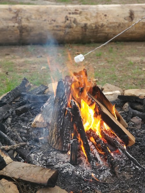A campfire with flames and smoke, featuring a marshmallow on a stick being roasted over the fire.