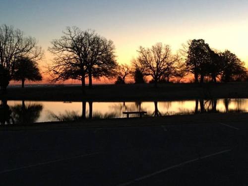 Silhouette of trees against a colorful sunset reflected in calm water, with a peaceful landscape in the background.