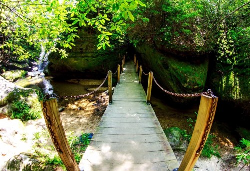 A wooden bridge with chains crosses a serene stream, surrounded by lush greenery and rocky cliffs.