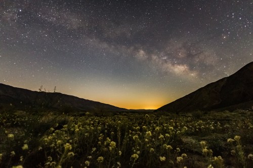 A starry night sky over a valley filled with wildflowers, with the Milky Way visible and mountains in the background.