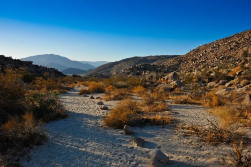 A sandy path winds through a desert landscape with rocky hills and sparse vegetation under a clear blue sky.