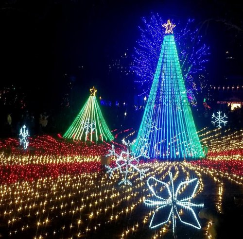 Colorful holiday lights illuminate trees and snowflakes in a festive outdoor display at night.