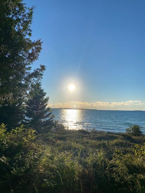 A serene landscape featuring a bright sun setting over a calm lake, framed by trees and lush greenery.
