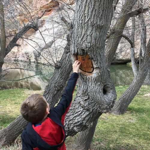A child in a red jacket reaches towards a carved design in a tree by a riverbank, surrounded by bare branches.