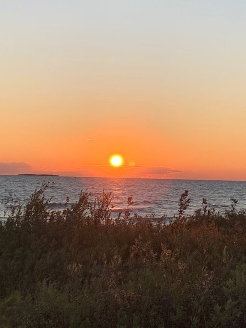 A vibrant sunset over the ocean, with warm orange and yellow hues reflecting on the water and silhouetted plants in the foreground.
