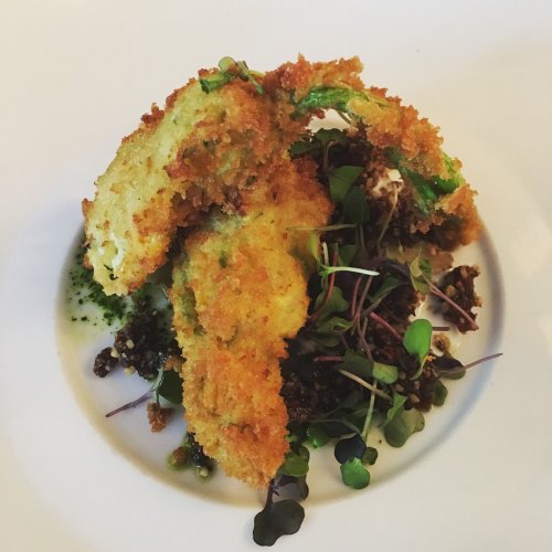 Crispy fried avocado slices on a bed of microgreens and dark crumbs, drizzled with sauce.