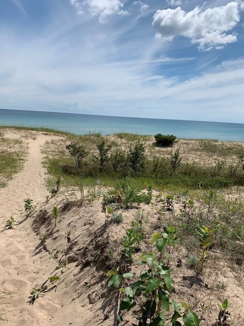 A sandy path leads to a tranquil beach with gentle waves and a blue sky dotted with clouds.