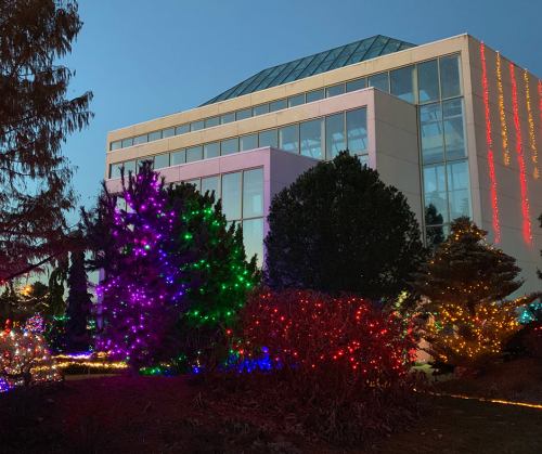 A modern building adorned with colorful holiday lights, surrounded by trees and shrubs illuminated in festive colors.