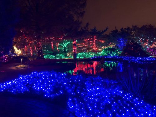 A serene scene of colorful holiday lights reflecting on water, surrounded by trees and shrubs in a dark setting.