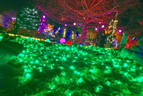 A festive garden illuminated with colorful lights, featuring green lights on the ground and vibrant decorations in the trees.