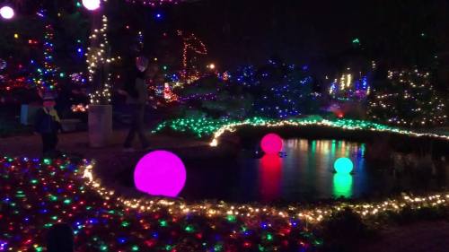 A colorful display of holiday lights around a pond, featuring glowing orbs and festive decorations.