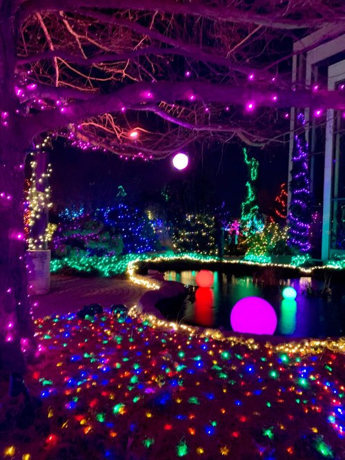 A vibrant display of colorful lights illuminates a garden at night, with glowing orbs and trees adorned in festive decorations.