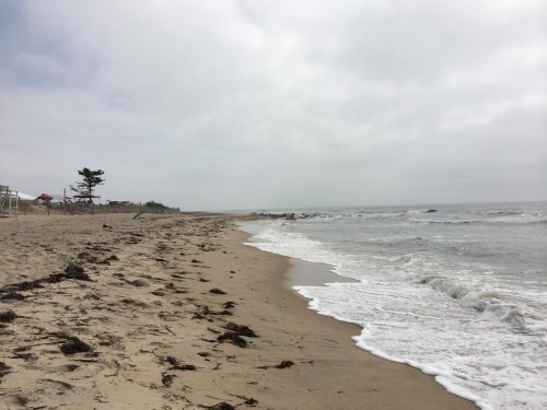 A sandy beach with gentle waves, scattered seaweed, and a cloudy sky in the background.