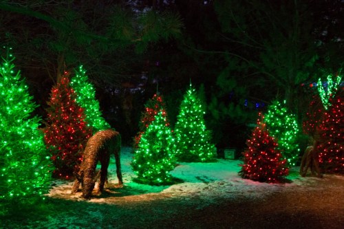 A winter scene with green and red lit Christmas trees surrounded by snow, creating a festive atmosphere.
