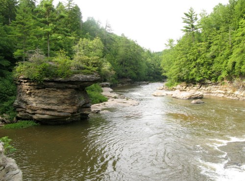 A serene river flows through a lush green forest, with rocky formations and trees lining the banks.