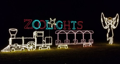 Colorful holiday lights display featuring a train and an angel, spelling out "ZOOLIGHTS" against a dark background.