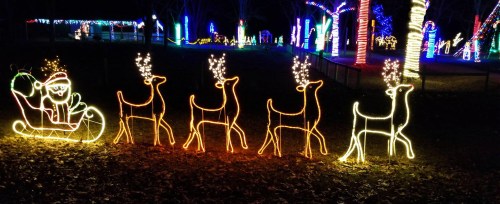 A festive display of illuminated reindeer pulling a sleigh with a character, surrounded by colorful holiday lights.
