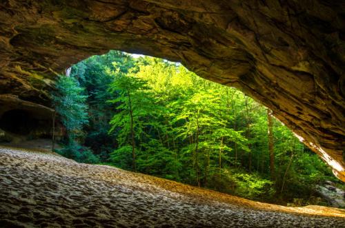 A sunlit cave entrance reveals lush green trees and sandy ground, creating a serene natural landscape.