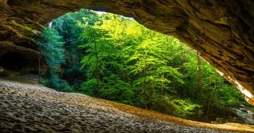 A view from inside a cave, showcasing lush green trees and sunlight filtering through the entrance.