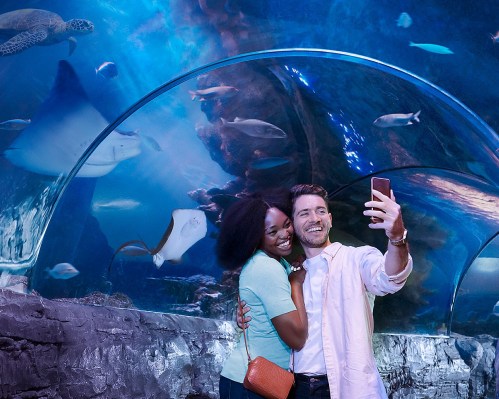 A couple takes a selfie in an aquarium, surrounded by fish and a ray swimming in the background.