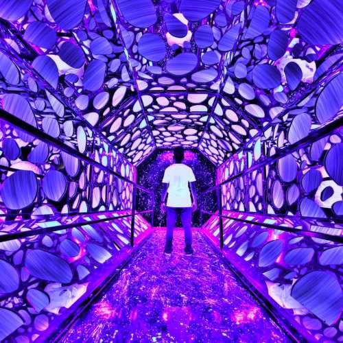 A person stands in a vibrant, mirrored tunnel illuminated with purple and blue lights, creating a surreal atmosphere.