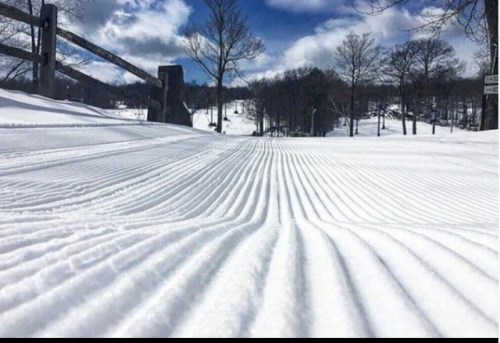 Freshly groomed snow trails under a bright blue sky with scattered clouds and trees in the background.