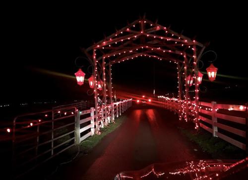 A lit pathway with red lanterns and string lights, leading through a wooden archway at night.