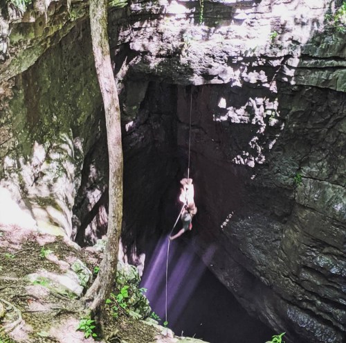 A person rappelling down into a deep, rocky pit surrounded by trees and sunlight filtering through.