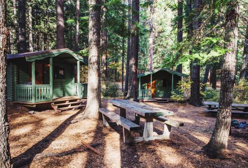 Two green cabins nestled in a forest, with a wooden picnic table in the foreground surrounded by tall trees.