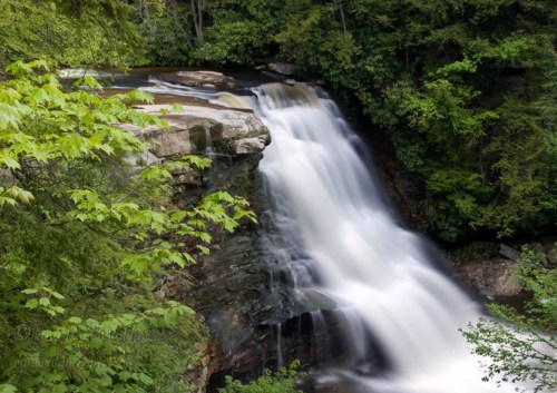 A serene waterfall cascades over rocks, surrounded by lush green trees and foliage.