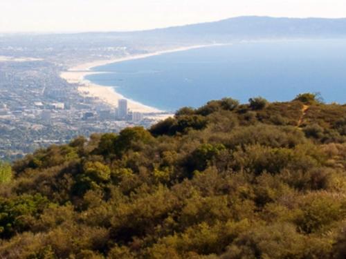 A scenic view of a coastline with sandy beaches and a city skyline, framed by lush green hills.