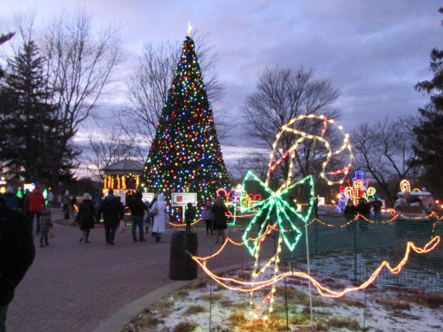 A festive park scene with a large, decorated Christmas tree and colorful lights, as people stroll through the area.