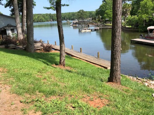 A serene lakeside view with a wooden dock, surrounded by trees and calm water, reflecting the greenery.
